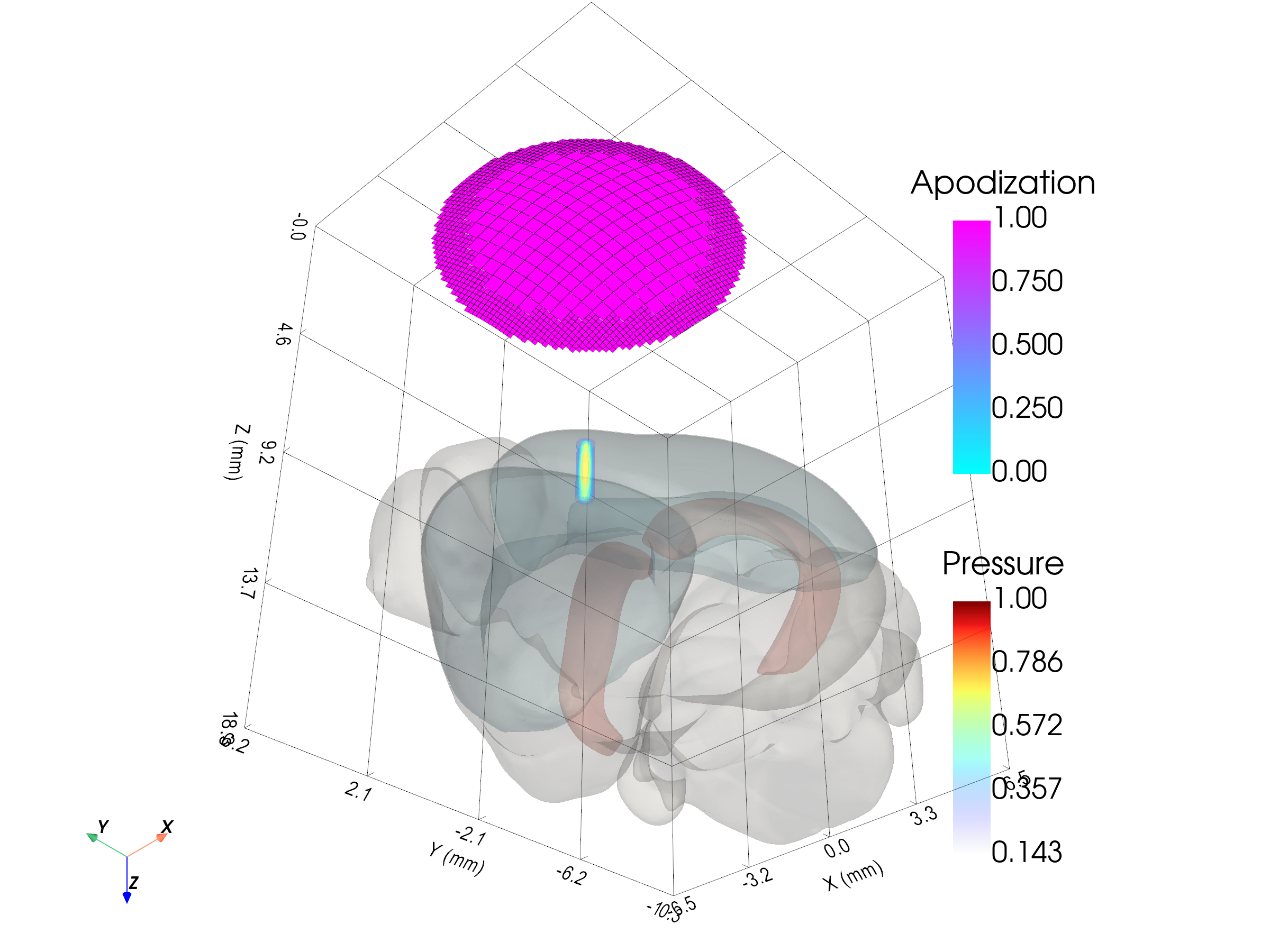 Mouse brain atlas with transducer and pressure field
